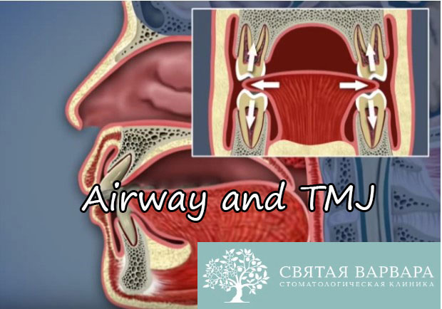 Познавательное видео Airway and TMJ: дыхательные пути и височно-нижнечелюстной сустав